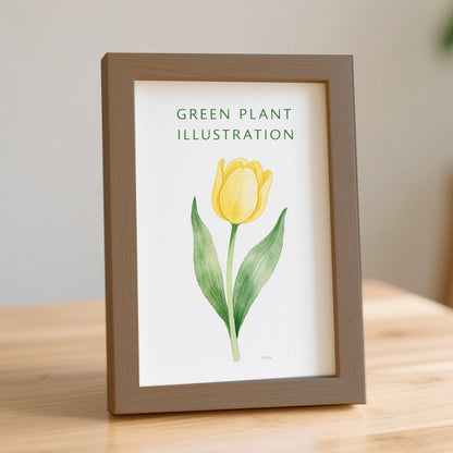 Framed Botanical Illustration Art