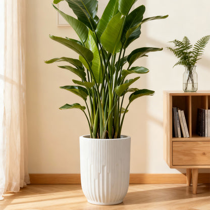 Ribbed Ceramic Planter Homeandso