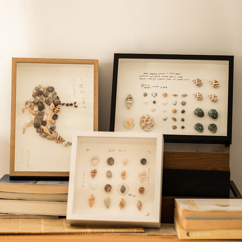 Shell Display Shadow Box