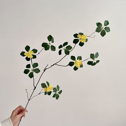 Decorative Botanical