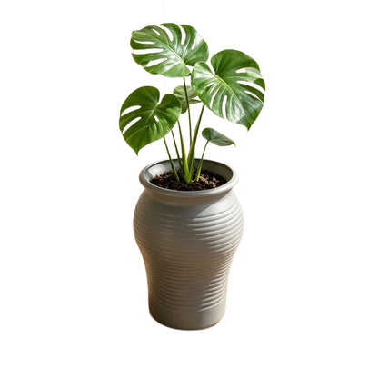Decorative Planter