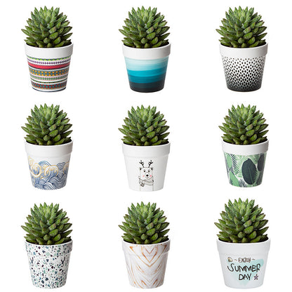 Decorative Succulent Planter Homeandso