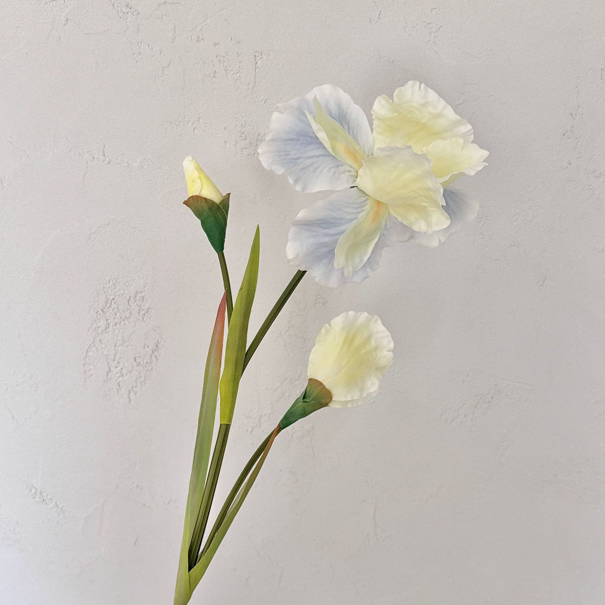 Elegant Floral Arrangement for Home Display