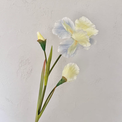 Elegant Floral Arrangement for Home Display