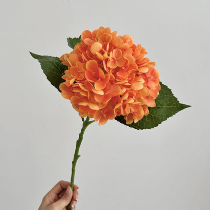 Realistic Hydrangea Stem