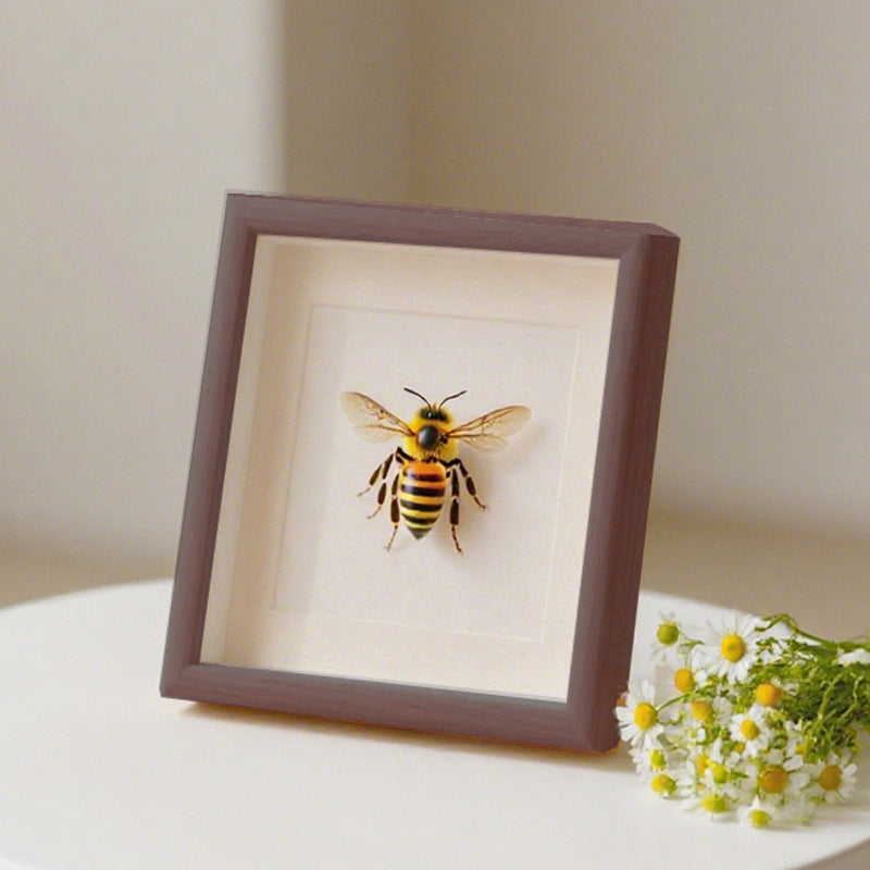 Decorative Insect Shadow Box Art Frame