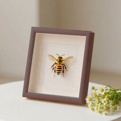 Decorative Insect Shadow Box Art Frame