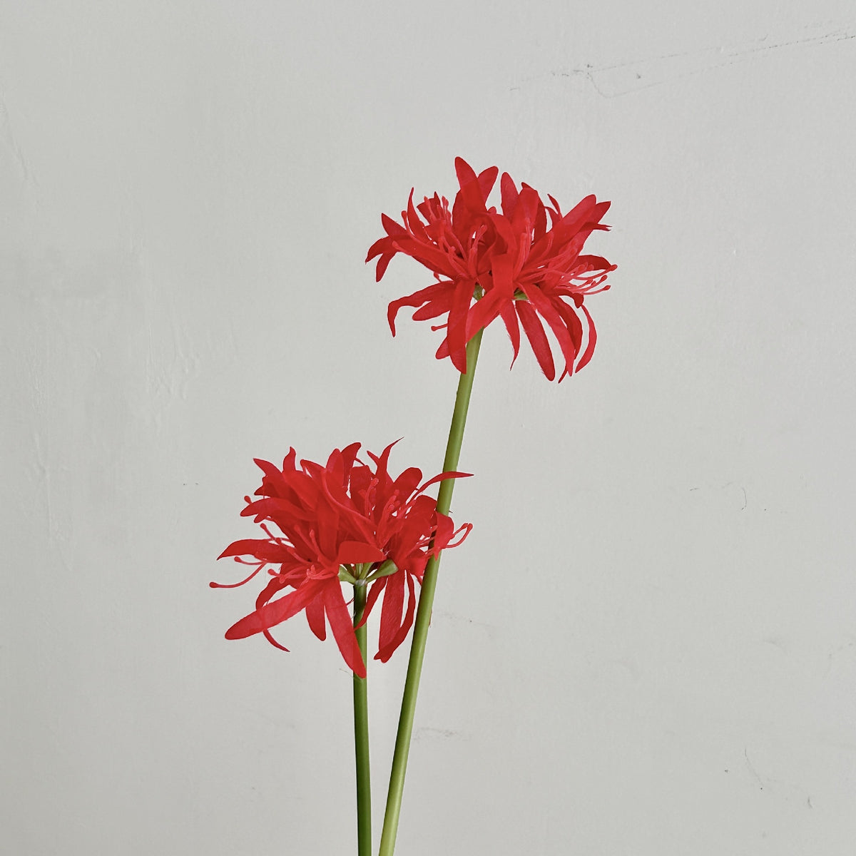 Realistic Decorative Flower Stem