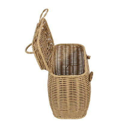 Handwoven Decorative Storage Basket Homeandso