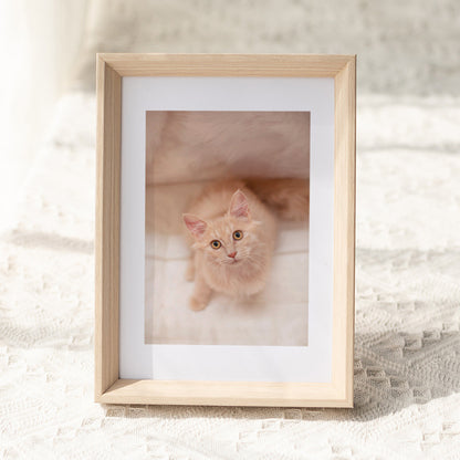 Decorative Art Frame
