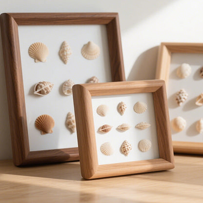 Sea Shell Shadow Box Display