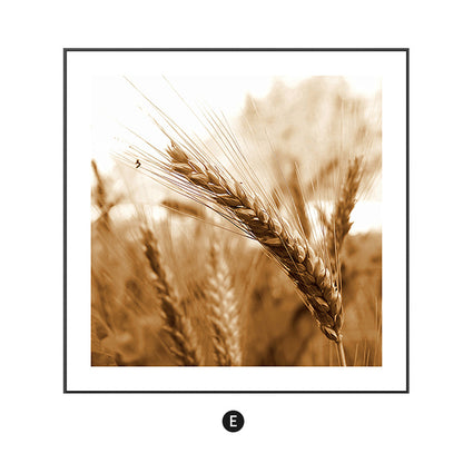 Framed Floral Artwork Homeandso 1790073032