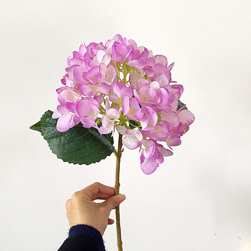 Premium Hydrangea Floral Stem