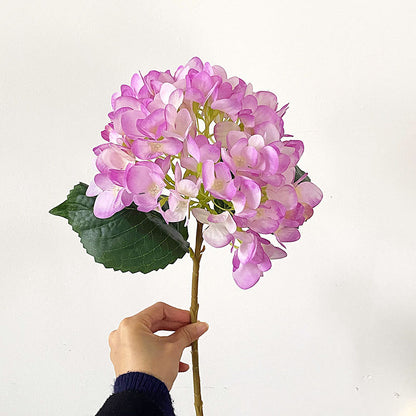 Premium Hydrangea Floral Stem