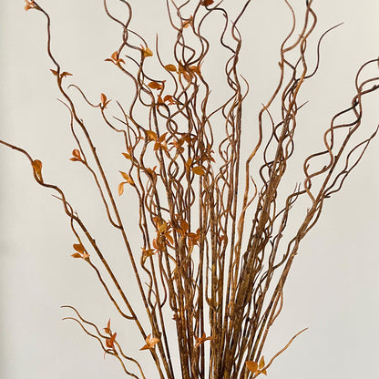 Decorative Twisted Branch Arrangement