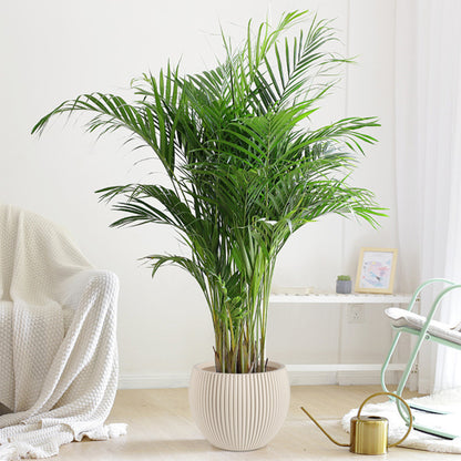 Elegant Textured Round Planter Homeandso