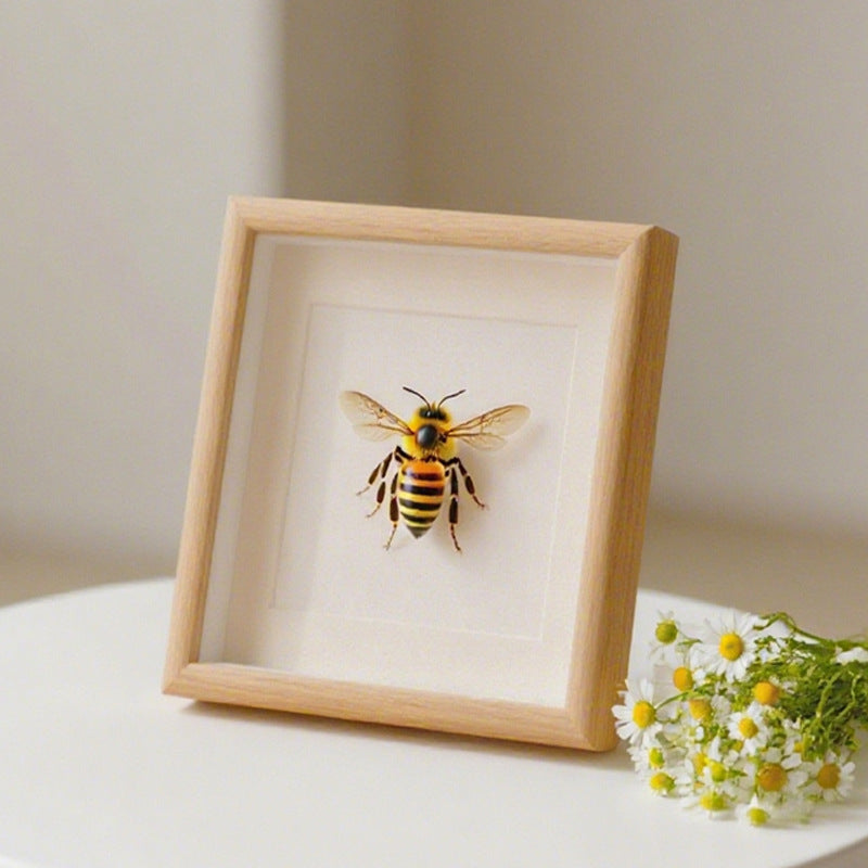 Decorative Insect Shadow Box Art Frame