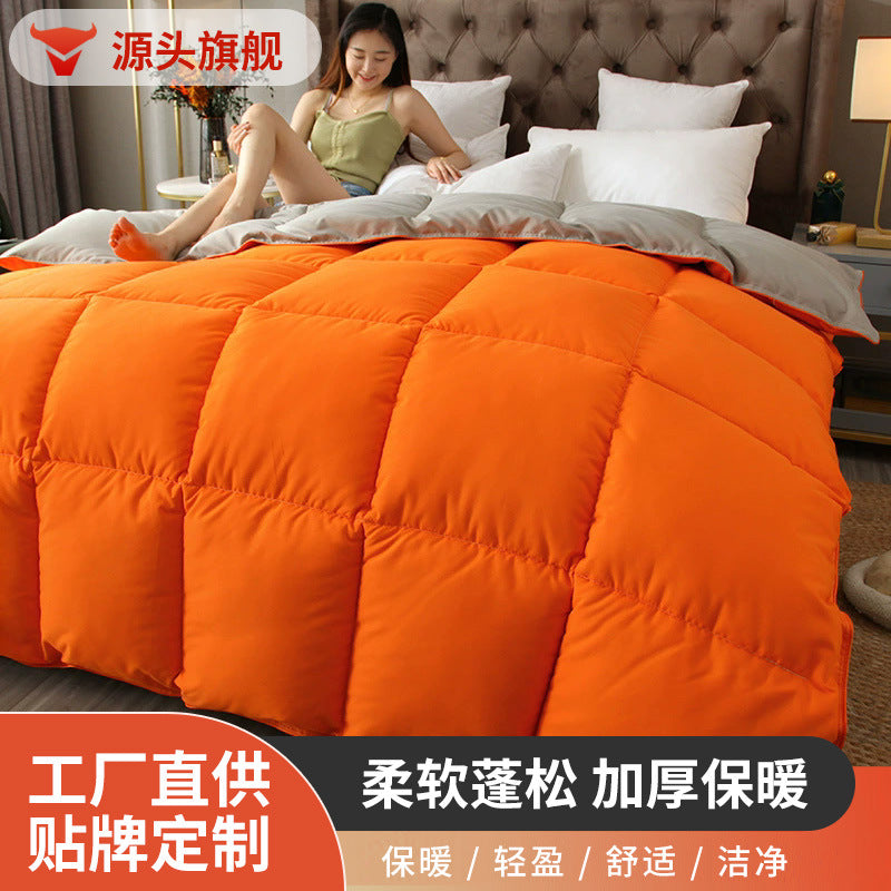 Cozy Comforter Homeandso
