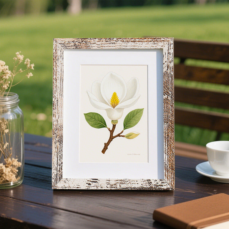 Floral Illustration Display Frame