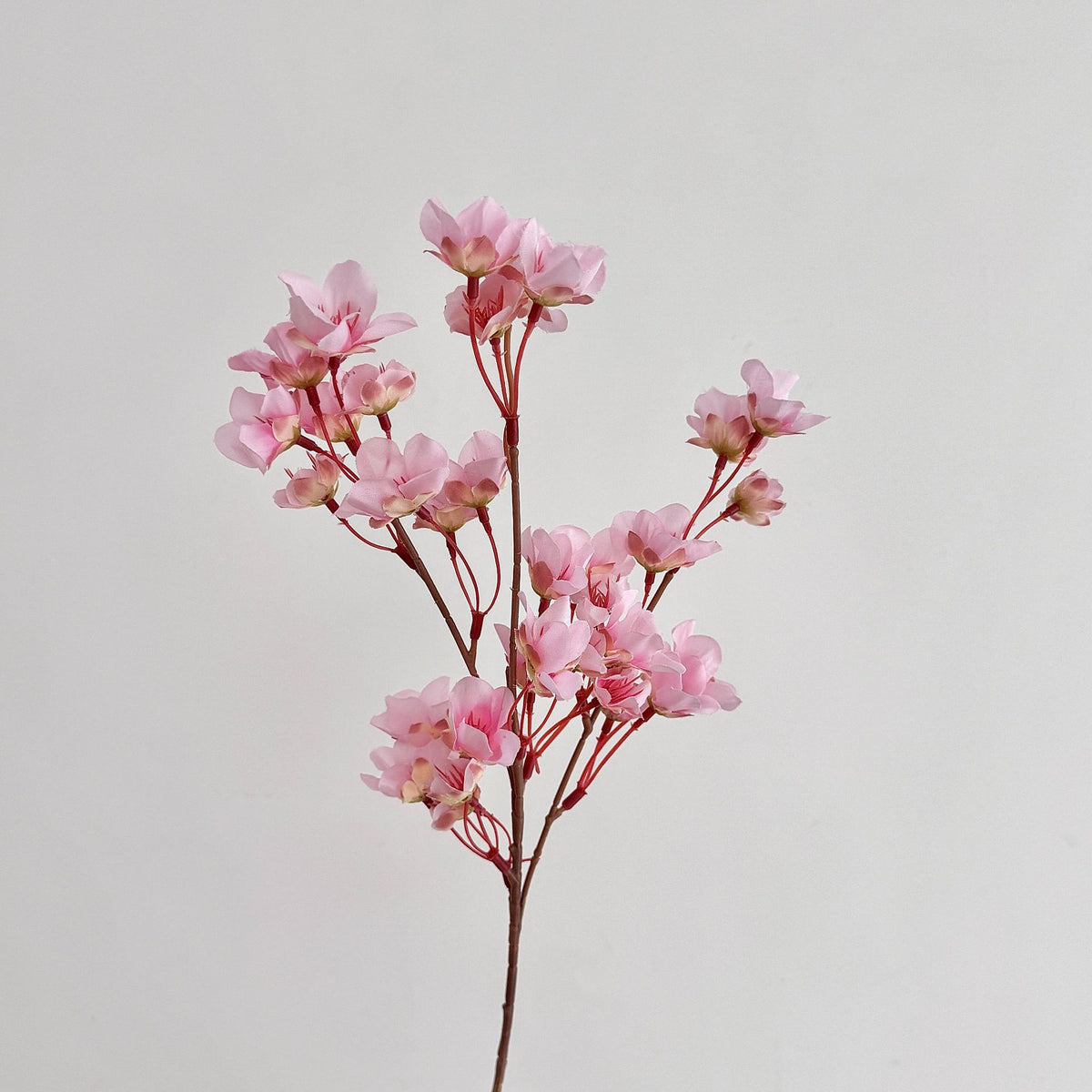 Delicate Blossom Floral Stem