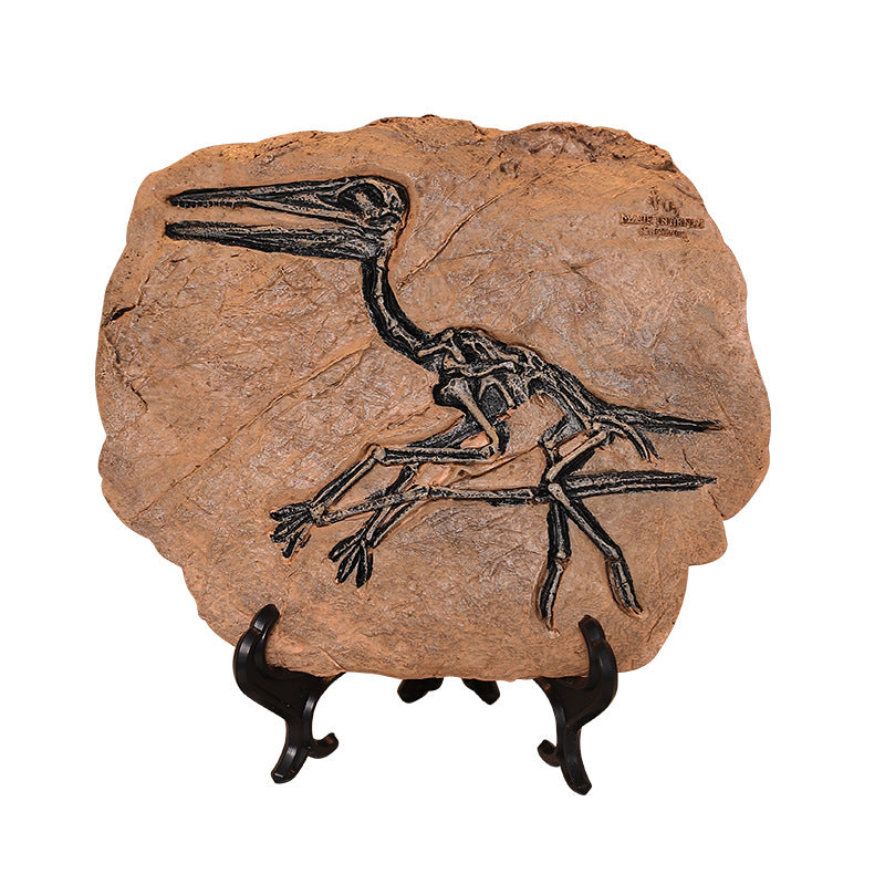 Dinosaur-Themed Decorative Fossil Sculpture Homeandso