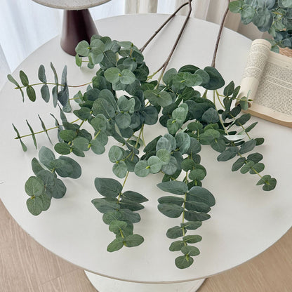 Decorative Eucalyptus Stem for Indoor Arrangements