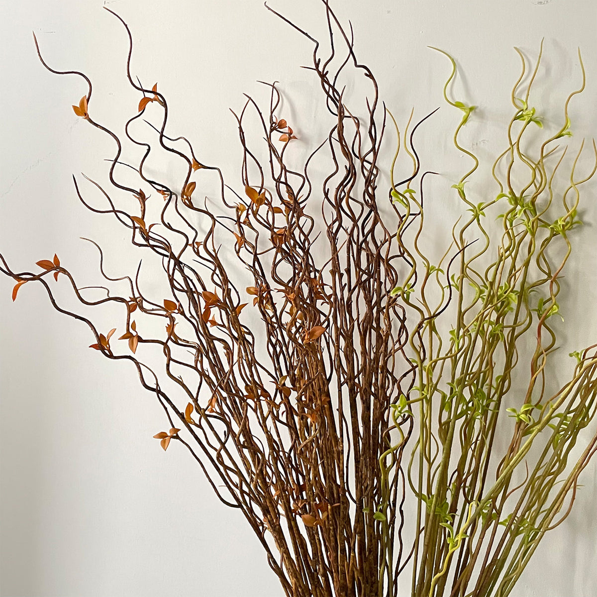 Decorative Twisted Branch Arrangement