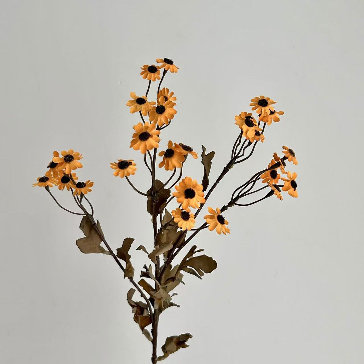 Decorative Wildflower Stem Arrangement