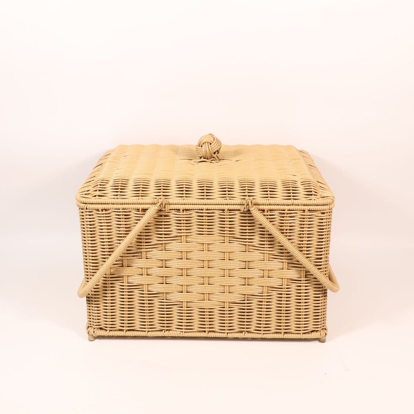Stylish Woven Storage Basket Homeandso