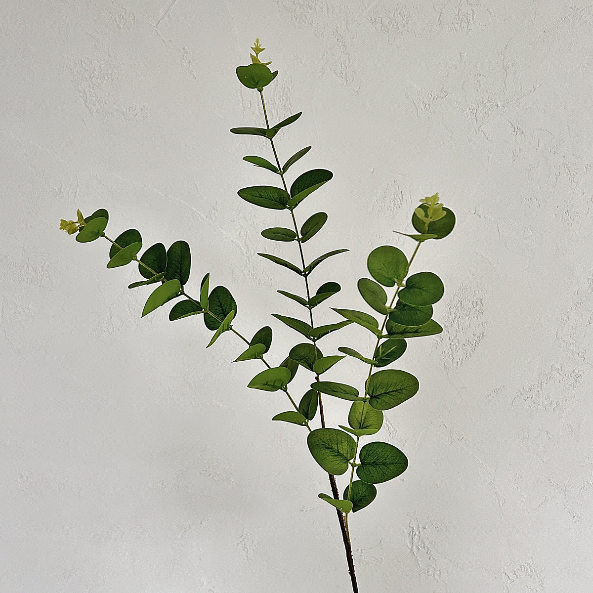 Decorative Eucalyptus Stem for Home Decor