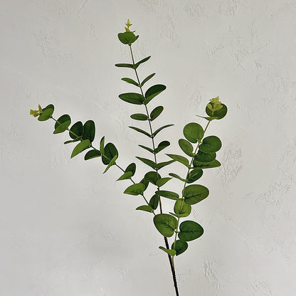 Decorative Eucalyptus Stem for Home Decor