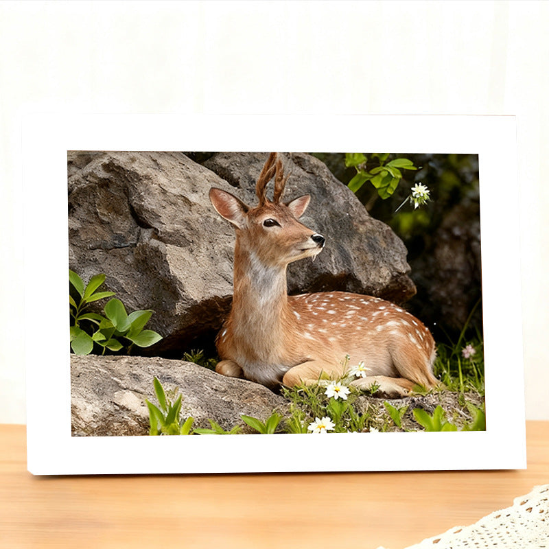 Minimalist Decorative Photo Frame