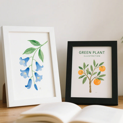 Framed Botanical Illustration Art