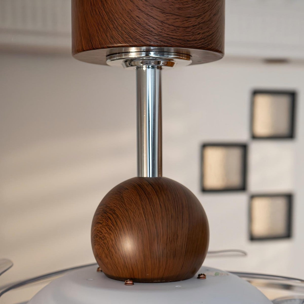Ceiling Fan with Light Fixture