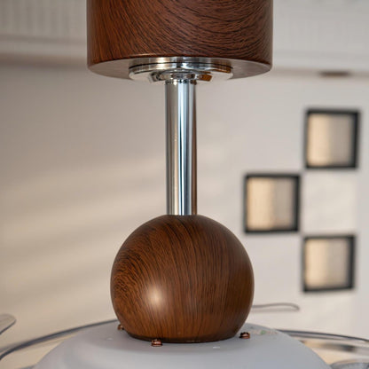 Ceiling Fan with Light Fixture