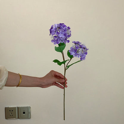 Realistic Hydrangea Stem