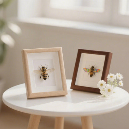 Decorative Insect Shadow Box Art Frame