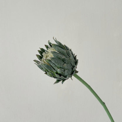 Decorative Artisanal Floral Stem