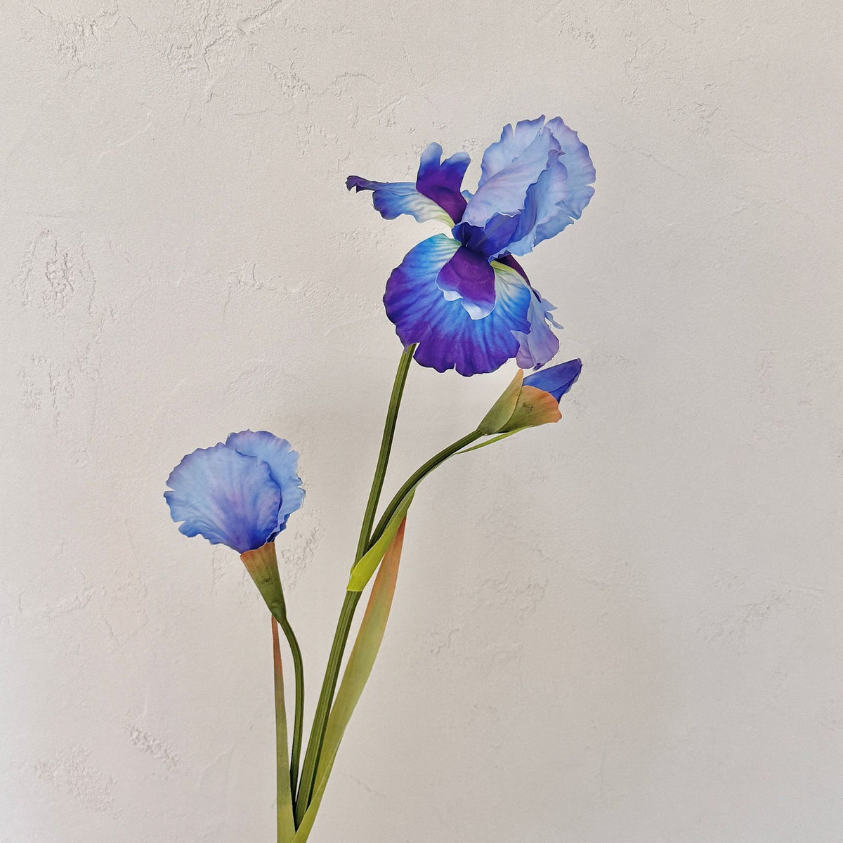 Elegant Floral Arrangement for Home Display