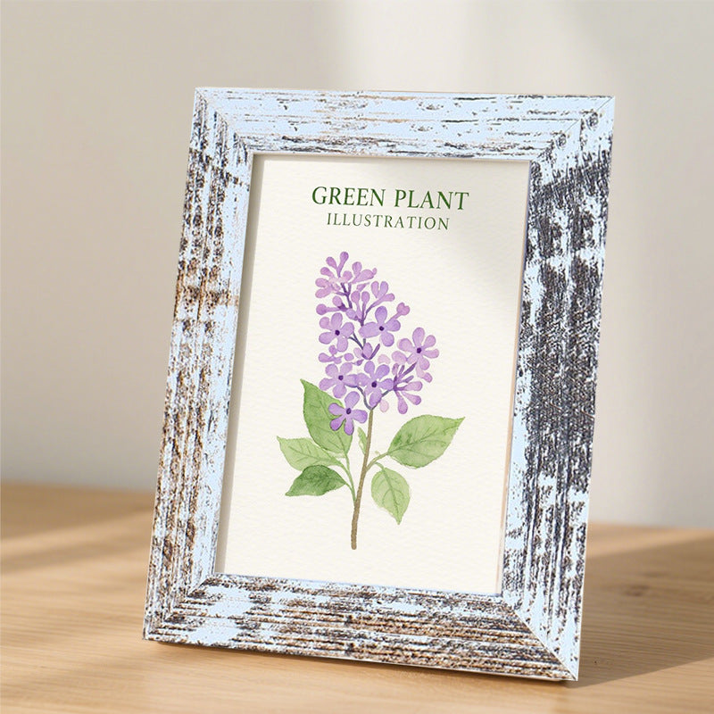Framed Botanical Illustration Art