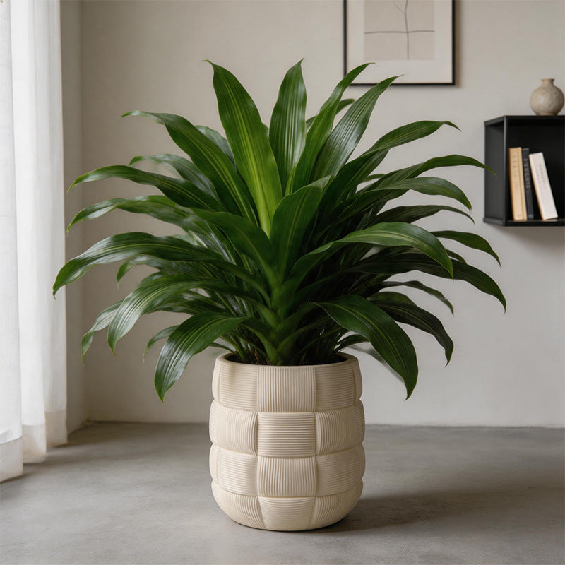 Decorative Textured Plant Pot Homeandso
