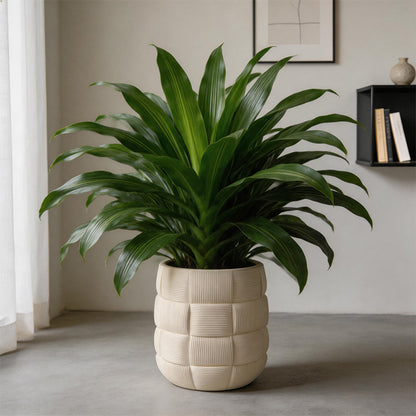 Decorative Textured Plant Pot Homeandso