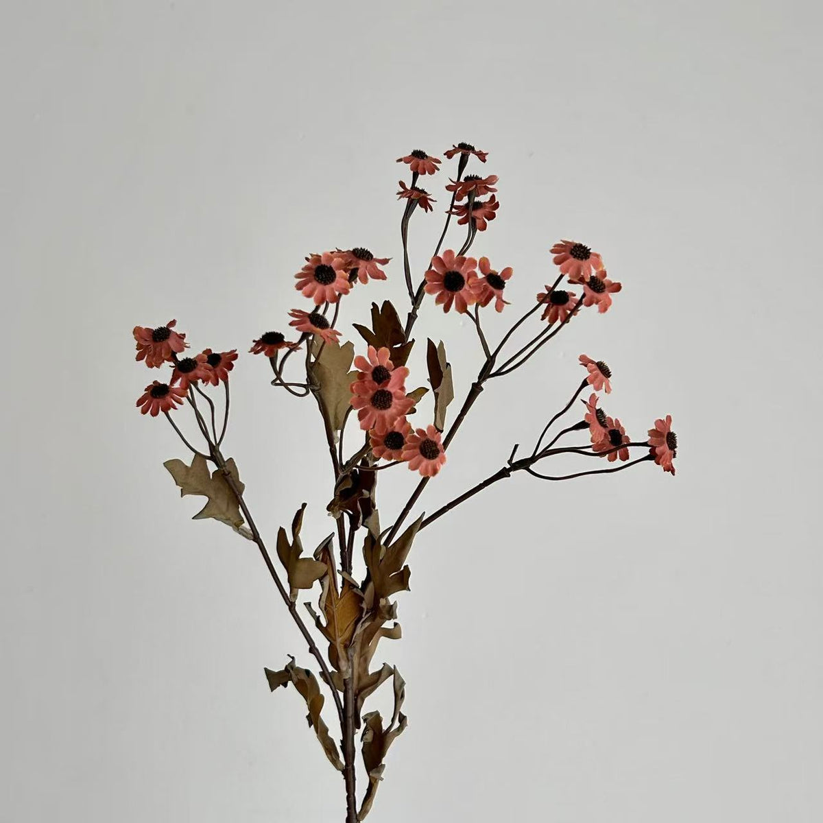 Decorative Wildflower Stem Arrangement