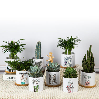 Decorative Artistic Plant Pot Homeandso