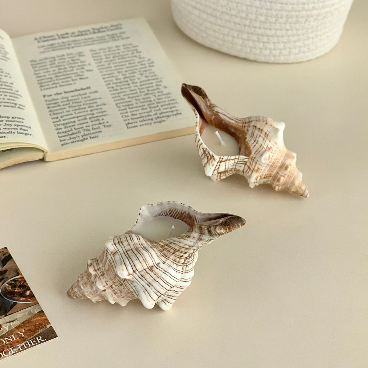 Decorative Shell