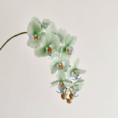 Premium Artificial Orchid Stem