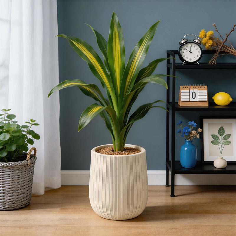 Homeandso Decorative Ribbed Ceramic Planter