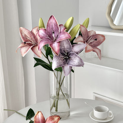 Decorative Orchid