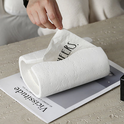 Stylish Modern Tissue Holder Homeandso