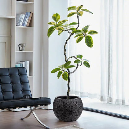 Textured Ceramic Planter Homeandso